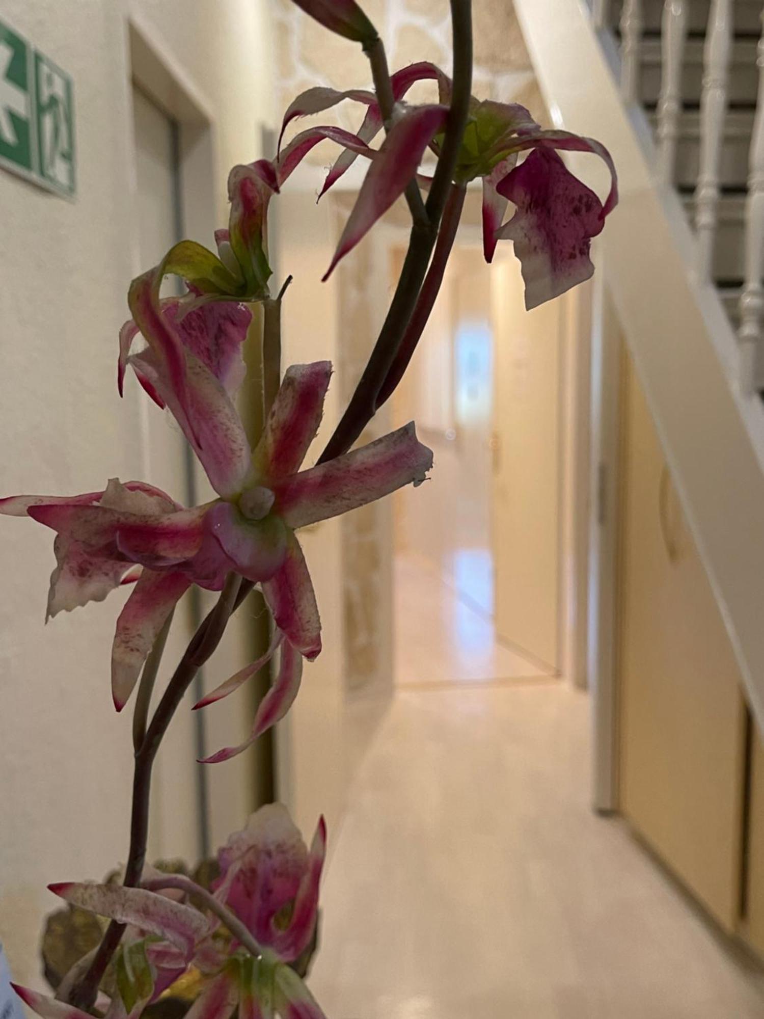 Hotel Villa Vital Munster Экстерьер фото